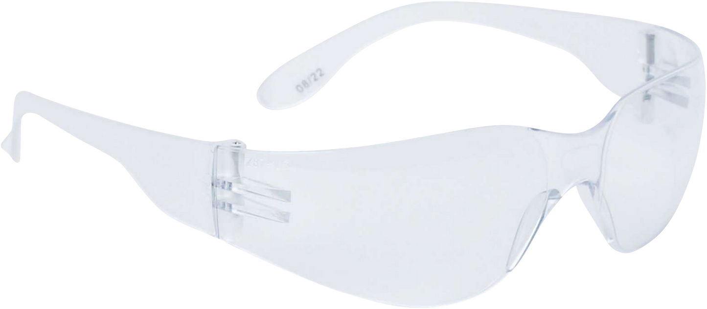 BRAVA2 CLEAR safety goggles