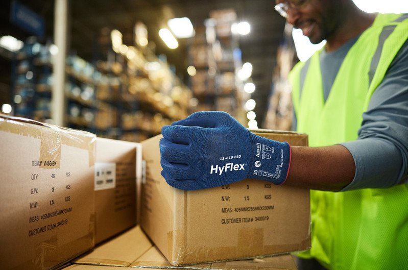 Ansell HyFlex antistatic work gloves, 12 pairs | 11-819 ESD