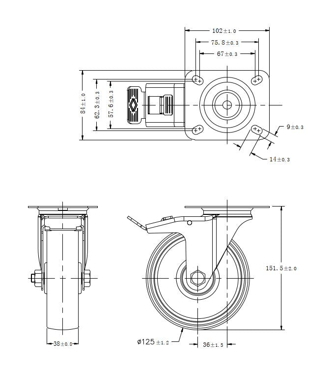 Ø 125 mm | Lenkrolle mit Bremse: Polyamid, Befestigungsplatte, Rollenlager, Tragfähigkeit 210 kg | 4063-125